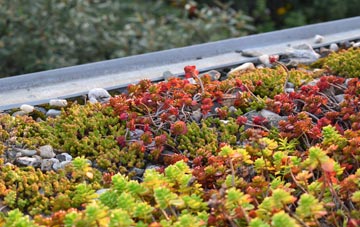 the cost of Pendine green roof installation