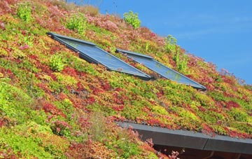 Pendine living roof systems